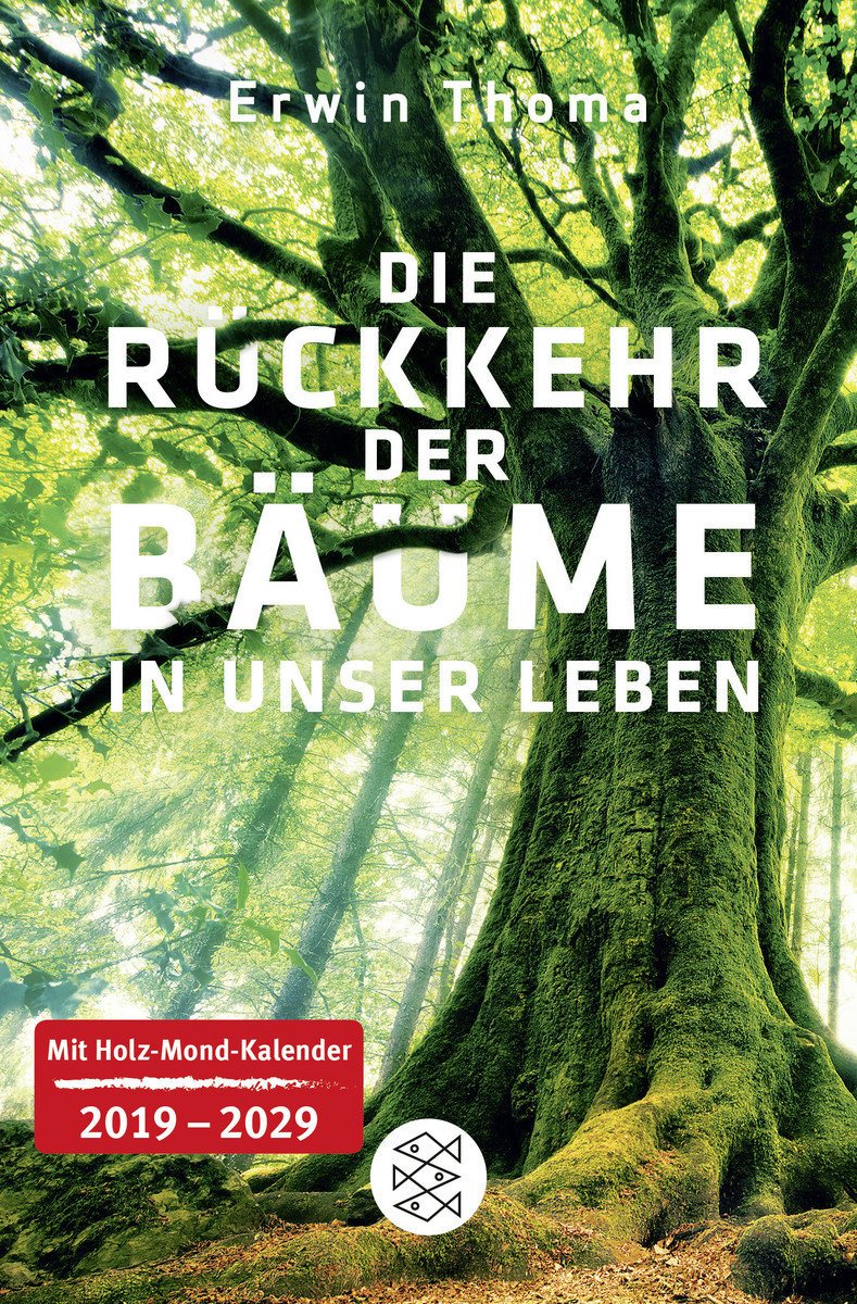 Erwin Thoma: «Die Rückkehr der Bäume in unser Leben»